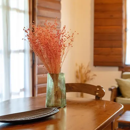 Nyaraló Porto Kalamitsi Stone-built